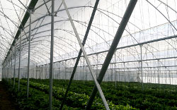 <img src='imagenes/ta.png' /> G850 M,B