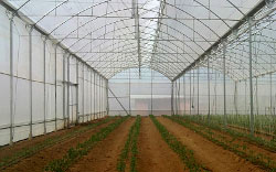 <img src='imagenes/ta.png' /> G960