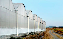 <img src='imagenes/ta.png' /> G960 
