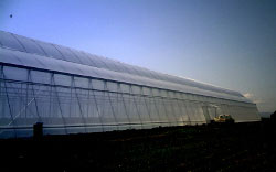 <img src='imagenes/ta.png' /> G850