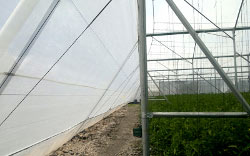 <img src='imagenes/ta.png' /> G850 M,B