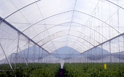 <img src='imagenes/ta.png' /> G850 M,B