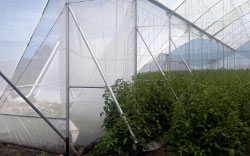 <img src='imagenes/ta.png' /> G850 M,B
